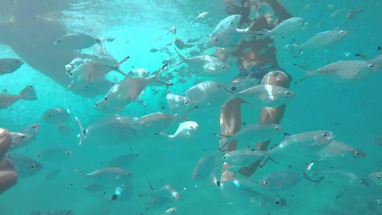 Hotel El Trebol Carboneras Eksteriør billede